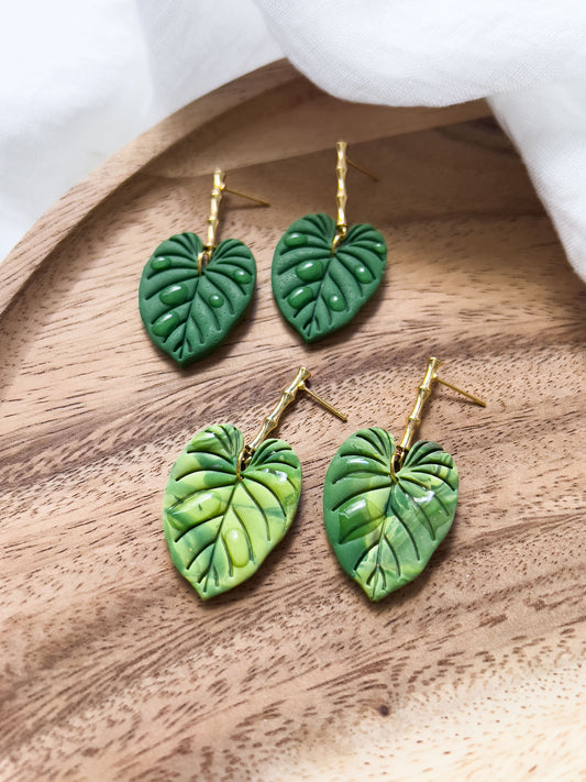 Col K ✦ Philodendron Ohrringe