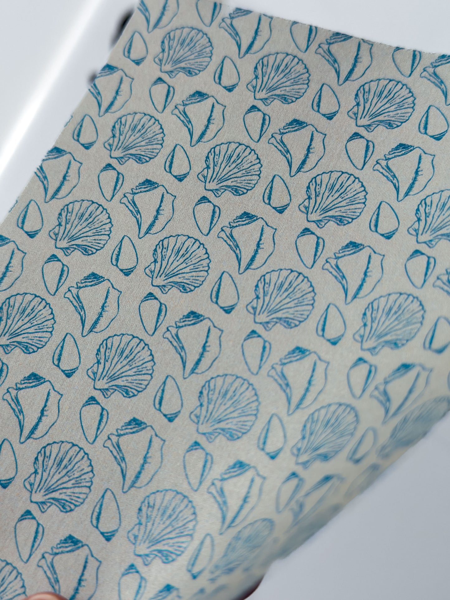 Transfer Paper Beachy Shells | 3 Colours