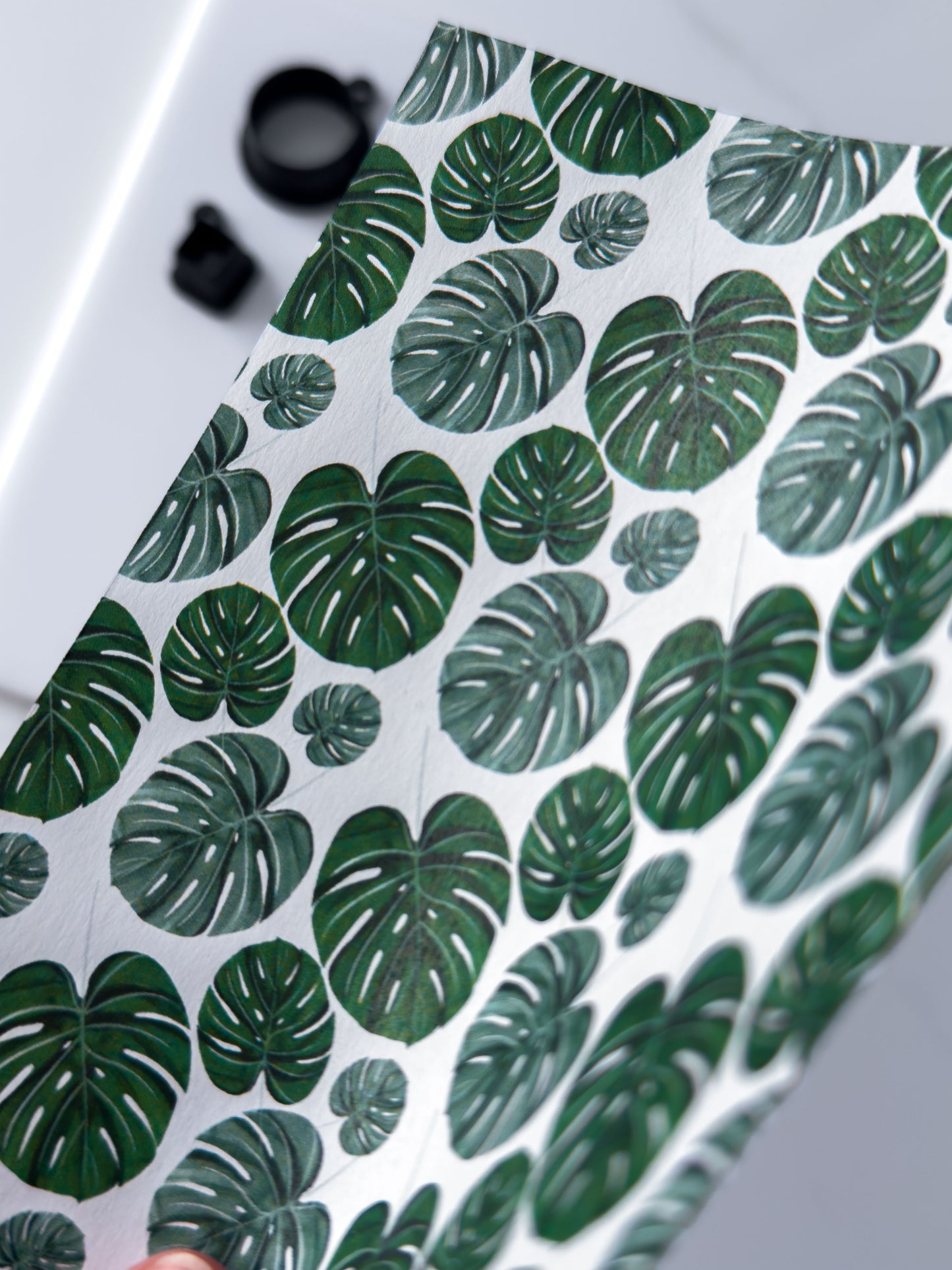 Transfer Paper Monstera