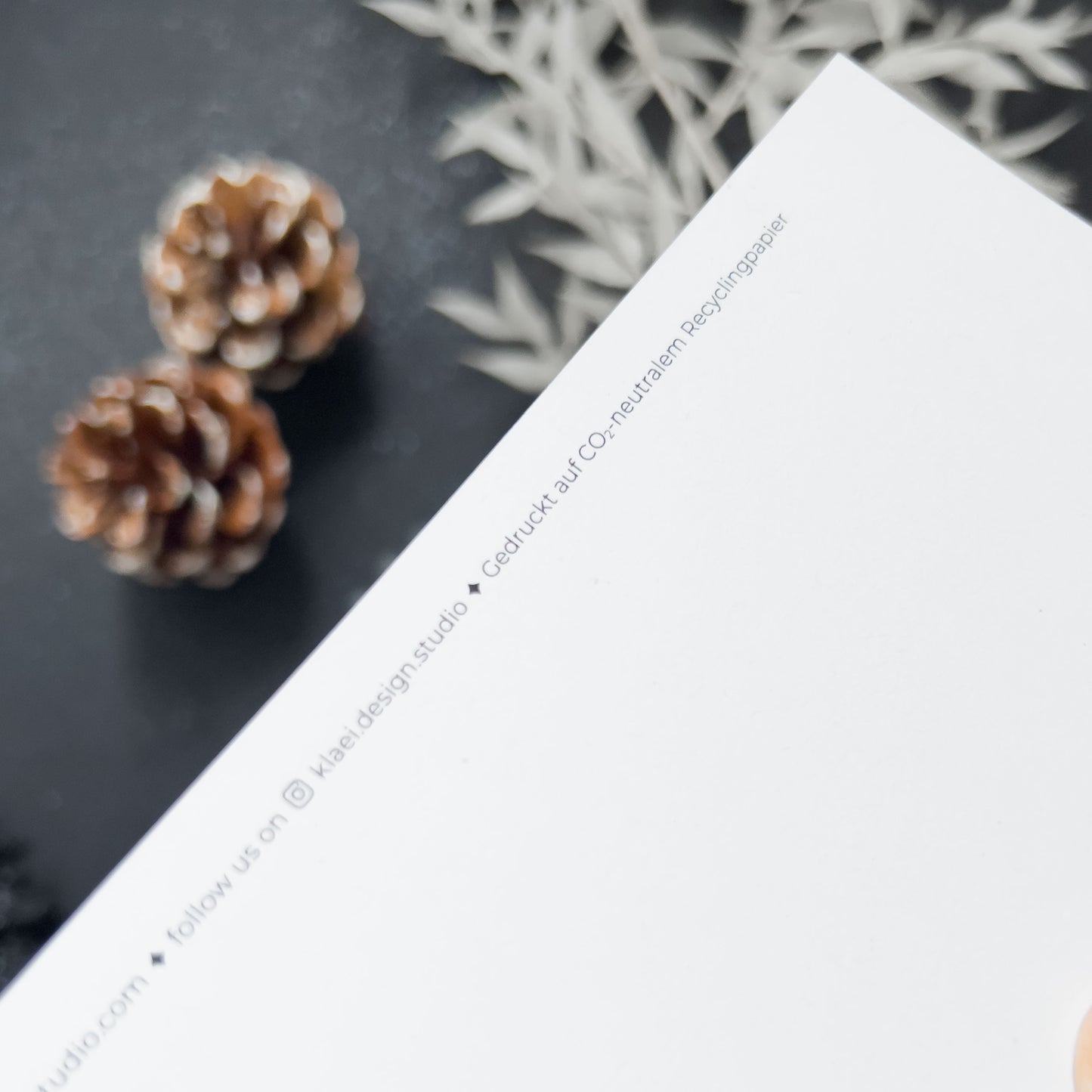 CHRISTMAS GREETING CARD Christmas Greetings Set of 5