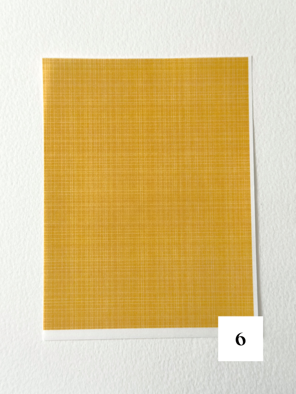 Autumn Harvest: Harvest Gold ✦ Transfer Paper
