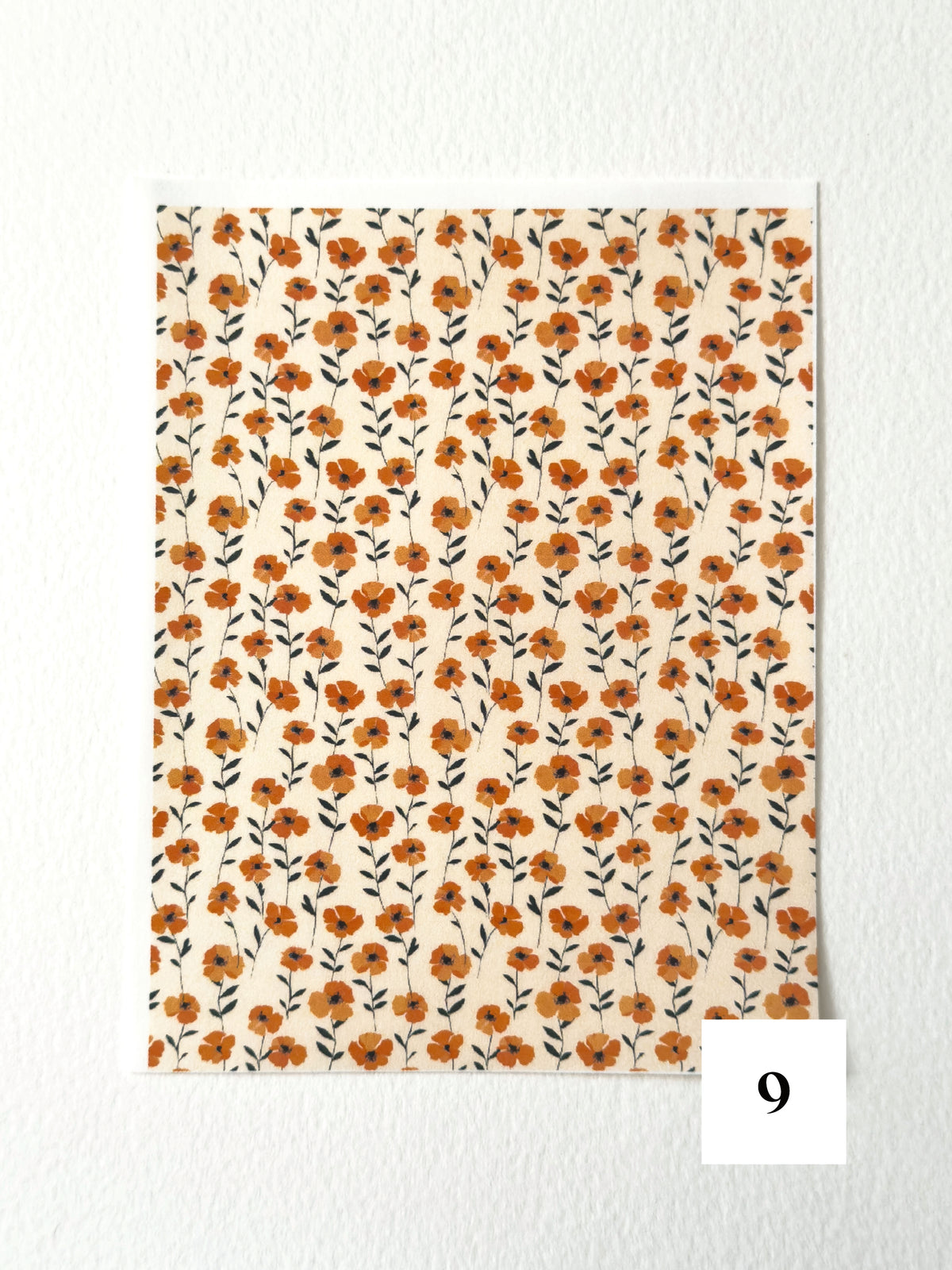 Autumn Harvest: Pumpkin Orange ✦ Transfer Paper