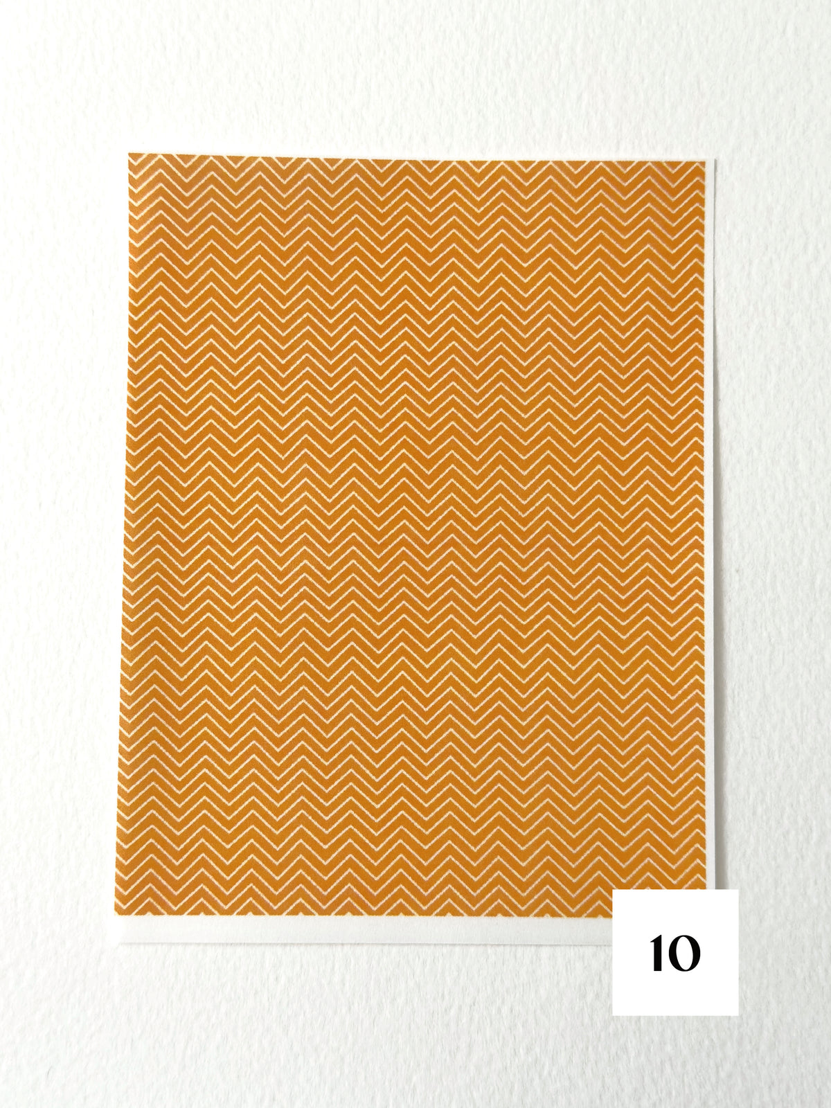 Autumn Harvest: Pumpkin Orange ✦ Transfer Paper