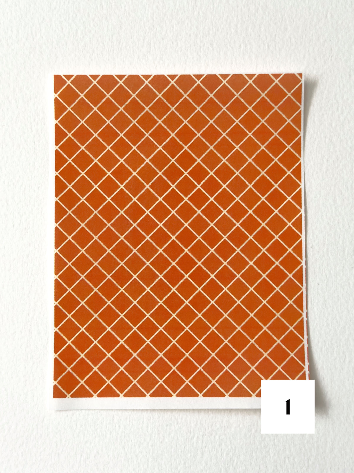 Autumn Harvest: Pumpkin Orange ✦ Transfer Paper
