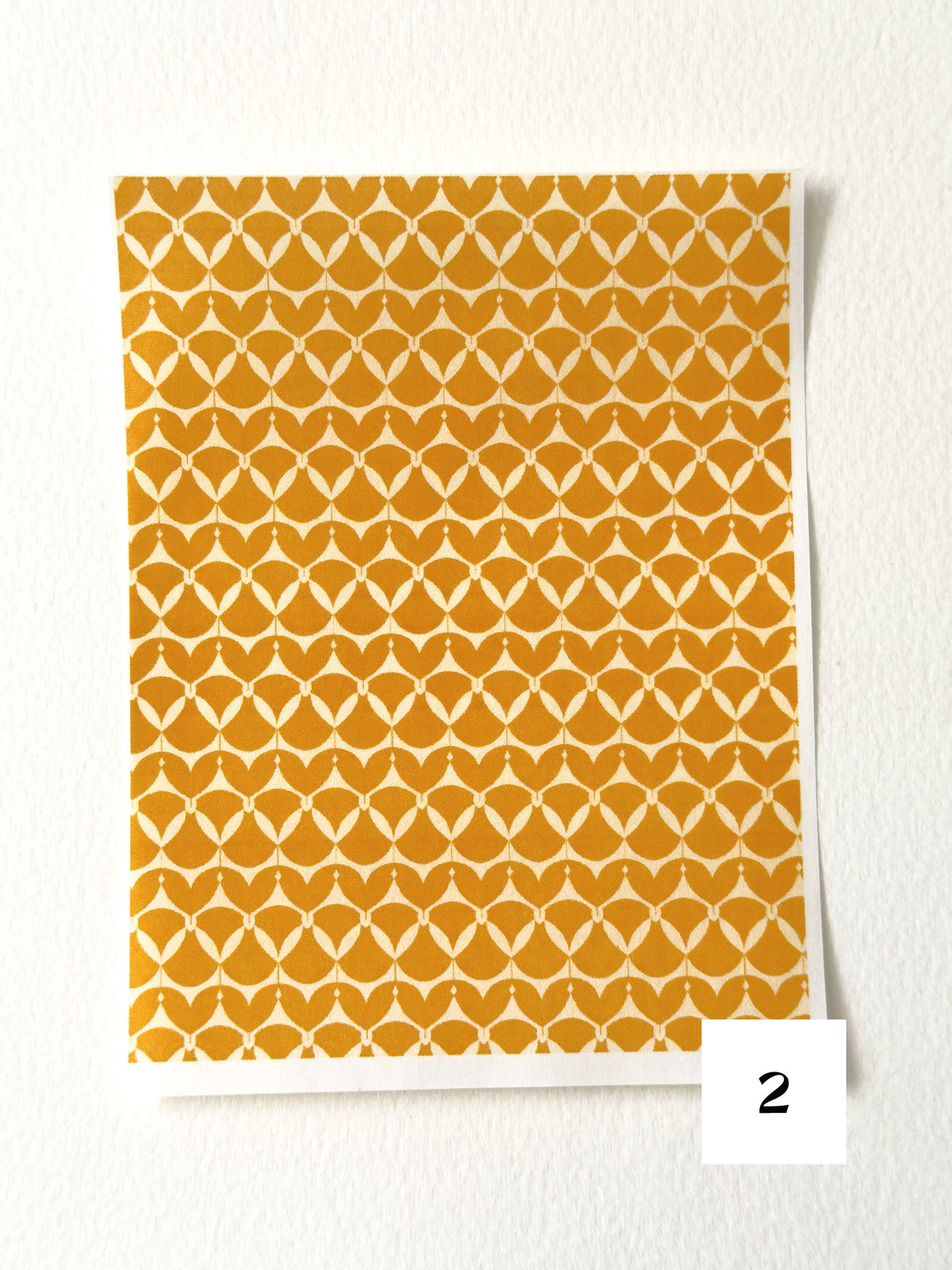 Autumn Harvest: Pumpkin Orange ✦ Transfer Paper