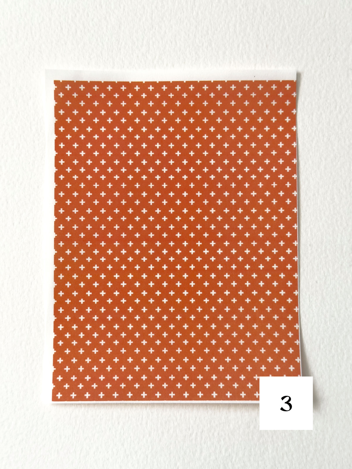 Autumn Harvest: Pumpkin Orange ✦ Transfer Paper