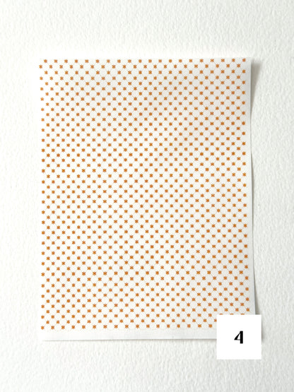 Autumn Harvest: Pumpkin Orange ✦ Transfer Paper