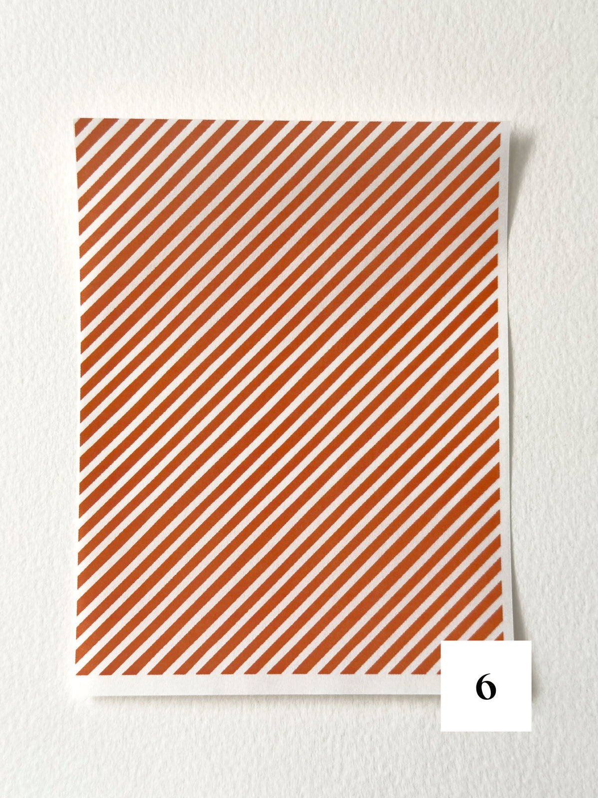 Autumn Harvest: Pumpkin Orange ✦ Transfer Paper