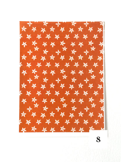 Autumn Harvest: Pumpkin Orange ✦ Transfer Paper