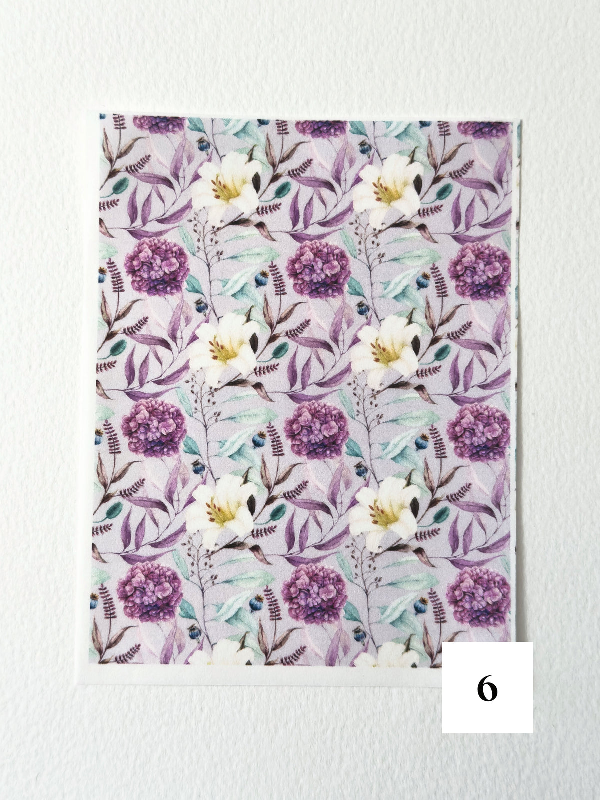 Enchanted Garden ✦ Transfer Paper