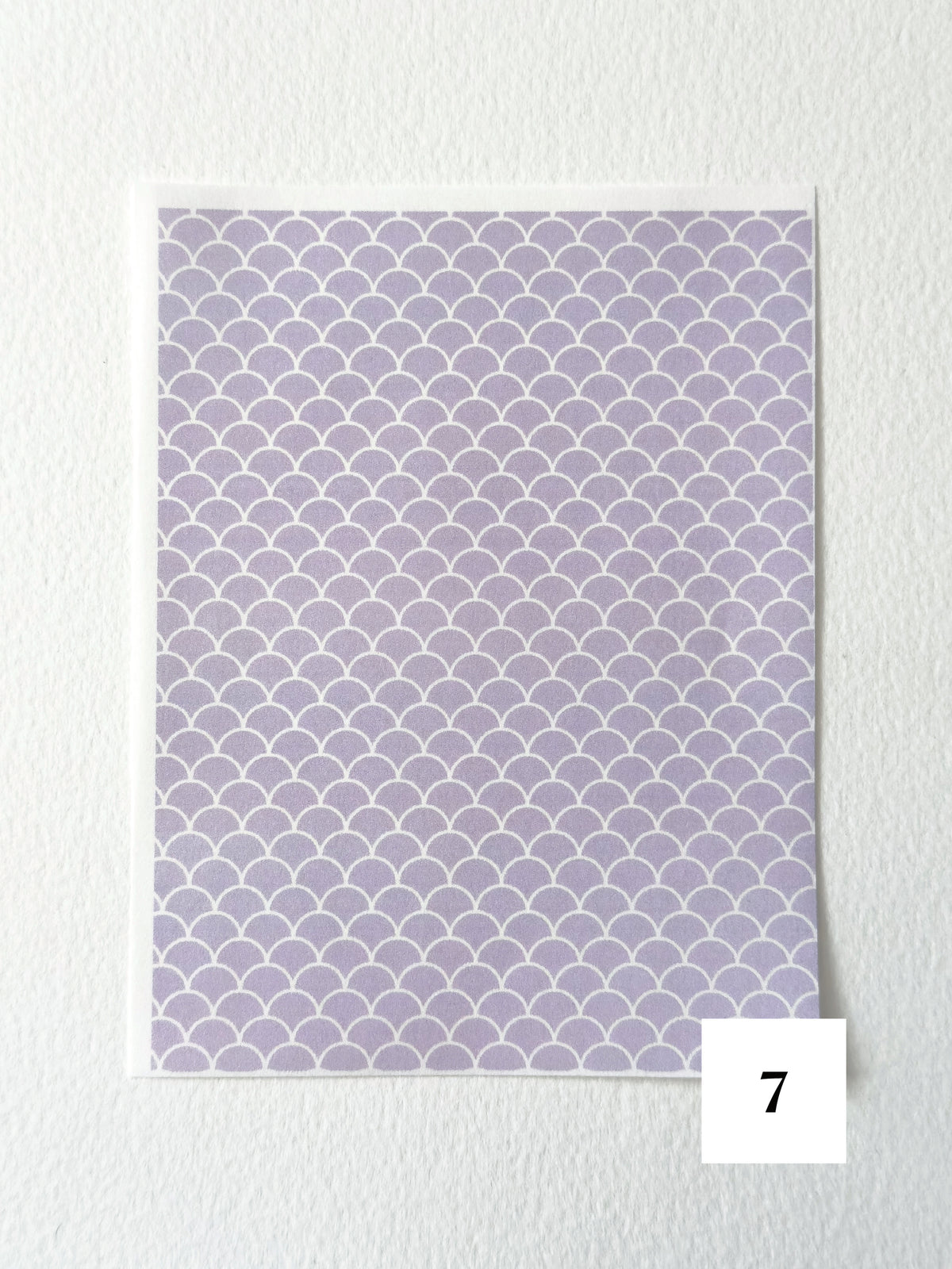 Enchanted Garden ✦ Transfer Paper