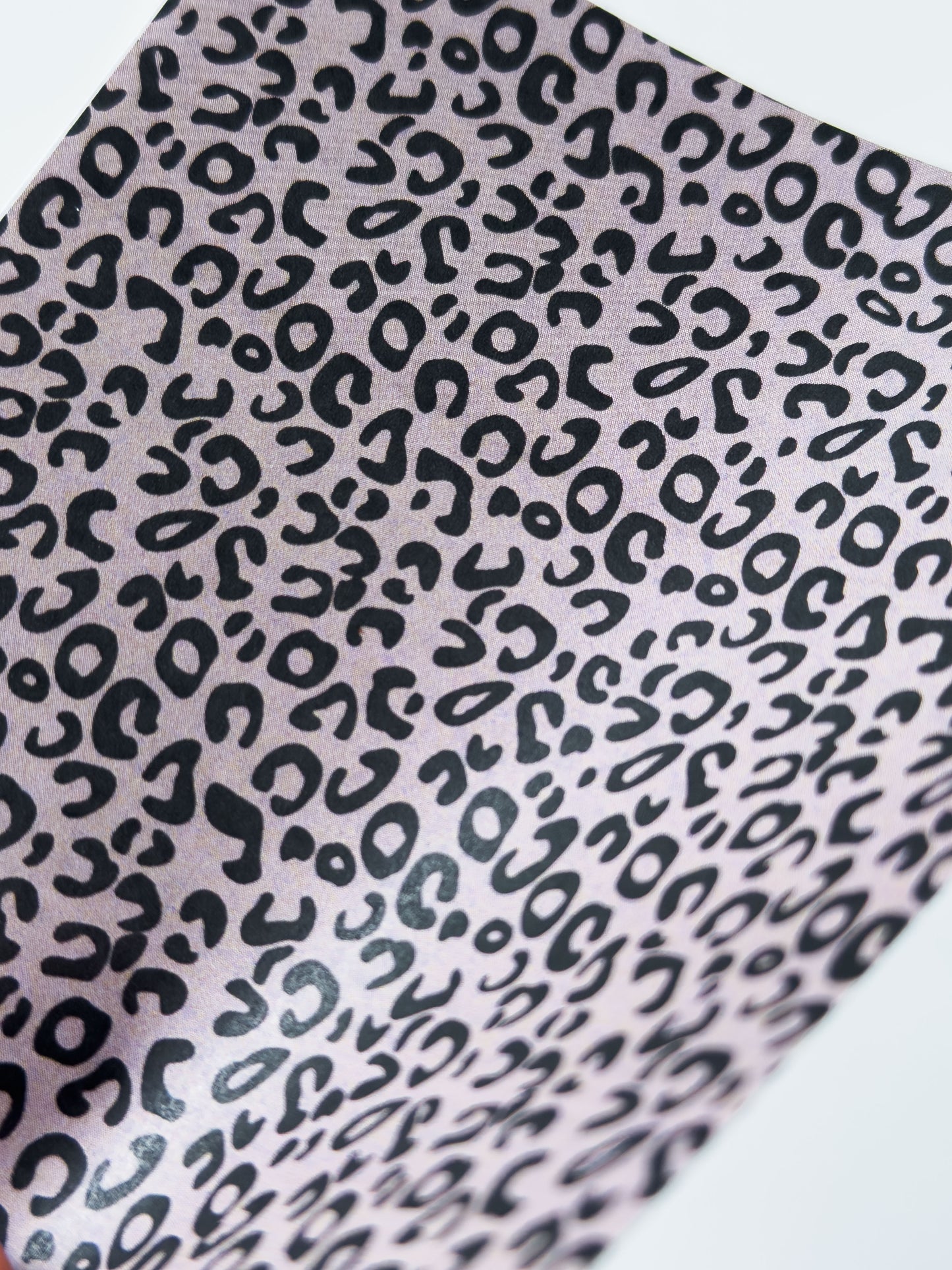 Transfer Paper Leo Animal Print | 8 Colours | Exclusive