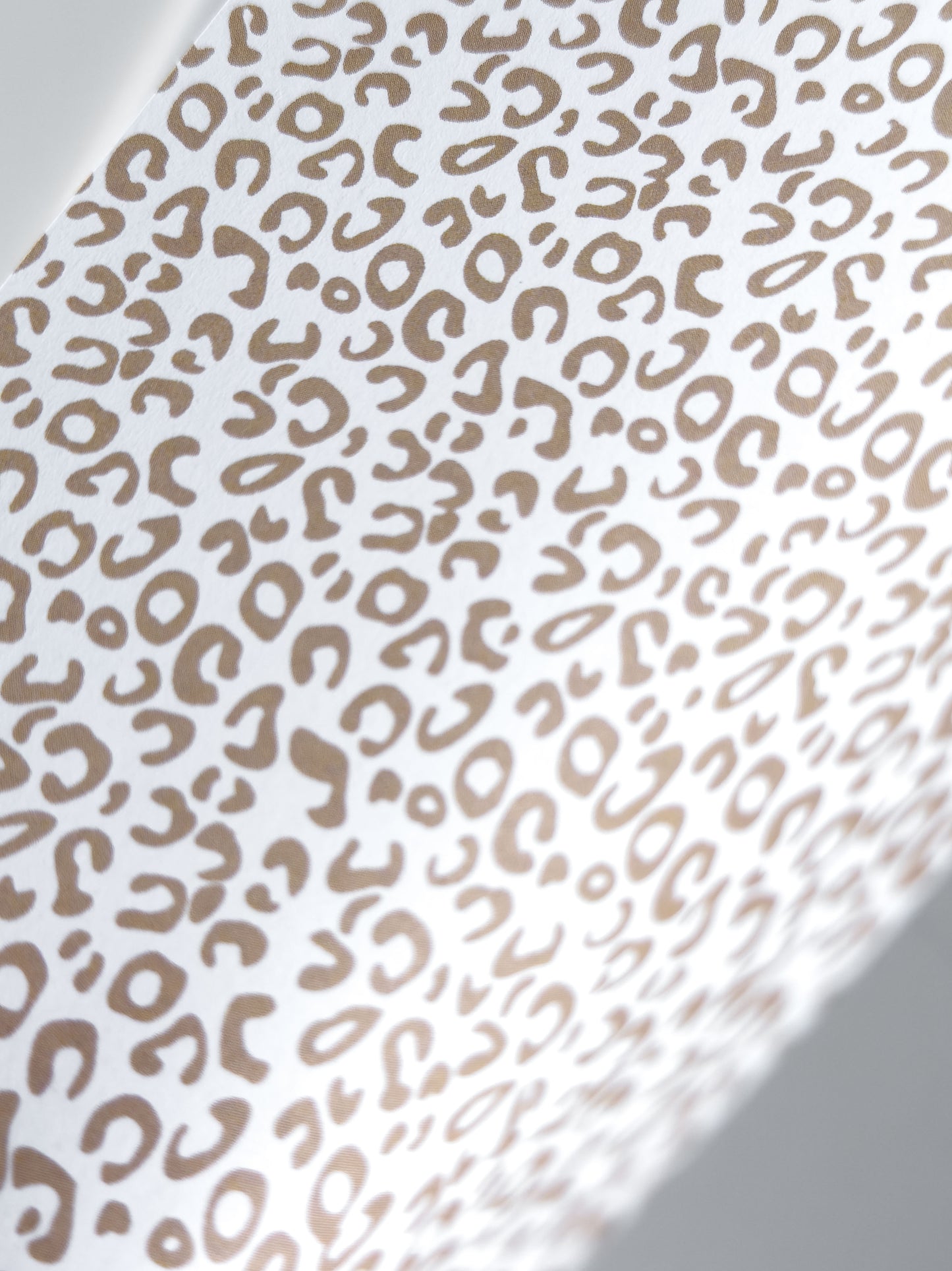 Transfer Paper Leo Animal Print | 8 Colours | Exclusive