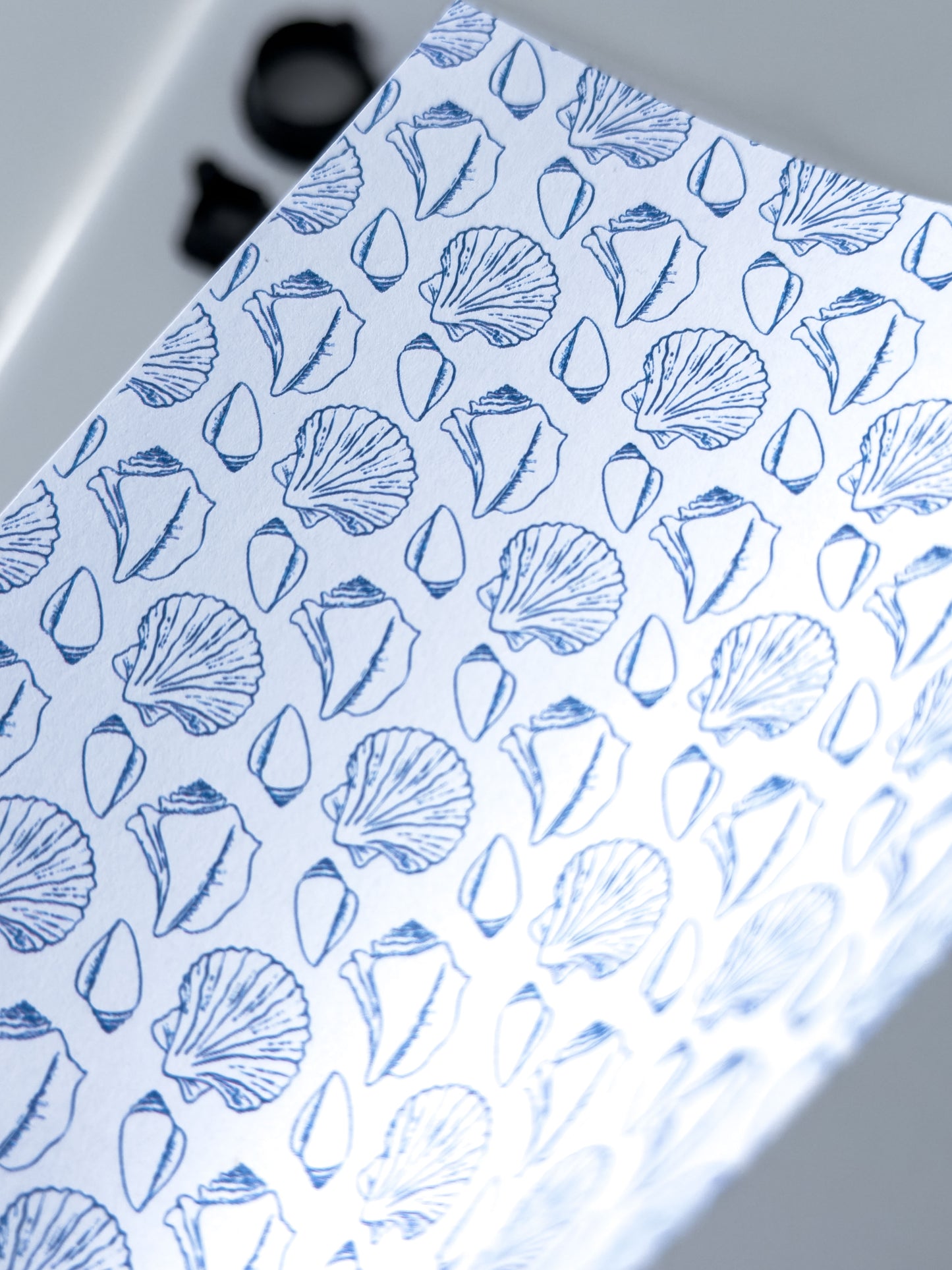 Transfer Paper Beachy Shells | 3 Colours